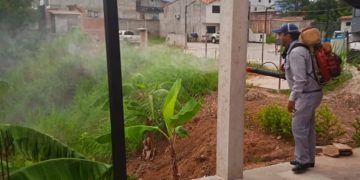 Salud Ambiental mantiene la vigilancia de Chagas en 4 municipios del Táchira