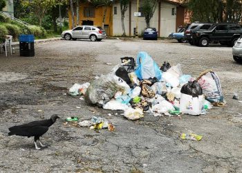Mérida acumula basura por falta de combustible