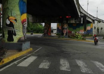Transporte en Alberto Adriani en crisis por falta de combustible