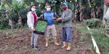 Impulsan aparato productivo en Boconó a través de los Clap