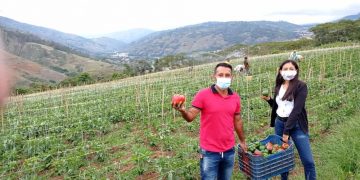 Con la puesta en marcha del Plan 21, Boconó se perfila más productivo