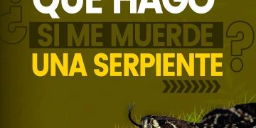 ¿Qué hago si me muerde una serpiente?