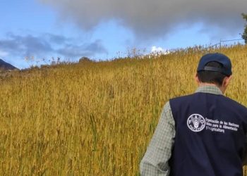 Respeto a la Madre Tierra, garantía para una vida sana