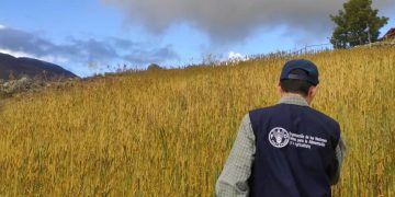 Respeto a la Madre Tierra, garantía para una vida sana