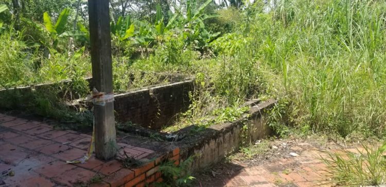 Cae a pedazos la Casa de los recuerdos del Táchira y con ella medio milenio de historia
