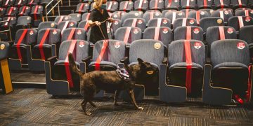 Perros detectores de covid «certificados» debutarán en una feria de Miami