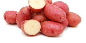 La Patata Marciana, el reto de hacer recetas sabrosas y nutritivas en Marte