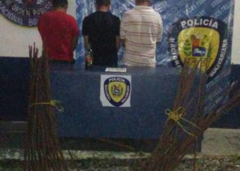Detenidos 3 sujetos con importante cantidad de dólares