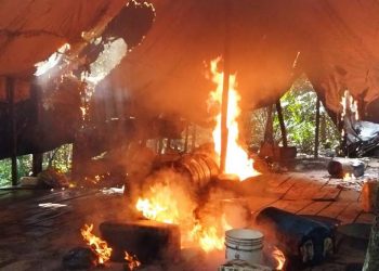 Destruidos ocho laboratorios de coca en el Zulia