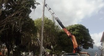 Vecinos logran que Plan 21 posponga corte de Chaguaramo en Plaza Bolívar boconesa  