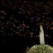 Los portugueses muestran su devoción a Fátima, a pesar de la pandemia