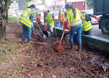 Alcaldía capitalina sigue trabajando en la recolección  de desechos y limpieza de plazas en San Cristóbal
