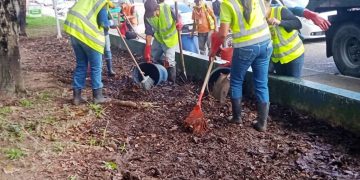Alcaldía capitalina sigue trabajando en la recolección  de desechos y limpieza de plazas en San Cristóbal