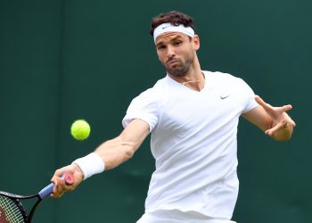 Verdasco no puede con Dimitrov