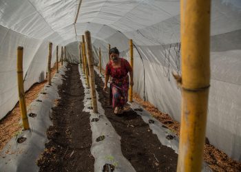 La tecnología, una clave para una agricultura más sustentable en Latinoamérica