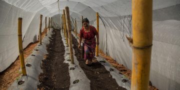 La tecnología, una clave para una agricultura más sustentable en Latinoamérica