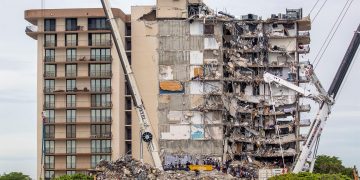 Los perros también ayudan a mantener la esperanza en el lugar del derrumbe