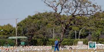 Brasil supera las 500.000 muertes por covid-19
