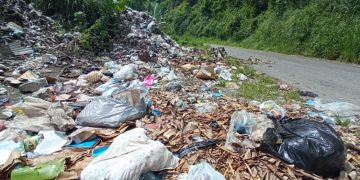 Más de siete meses tiene montón de basura cerca de la entrada de Monte Carmelo
