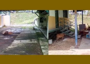 Roban por quinta vez el CIAE ULA