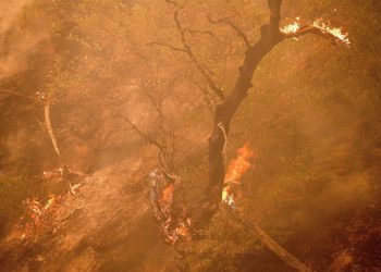 Preocupación por los incendios en California ante un nuevo aumento del calor