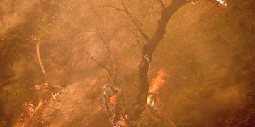 Preocupación por los incendios en California ante un nuevo aumento del calor