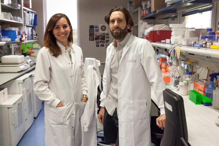 En la imagen los científicos del Centro Nacional de Investigaciones Oncológicas (CNIO) Ana Ortega y Alejo Efeyan, que han liderado el estudio. EFE/CNIO.