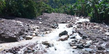 Las fuertes lluvias causaron estragos en Monte Carmelo