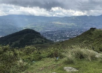 Táchira/ Denuncian pérdidas del 60% de  cosechas en zonas de montaña