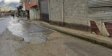 Peligro: problema de salud pública viven habitantes de Valle Verde en Boconó