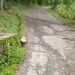 Intransitable vía hacia Laguna de Los Cedros