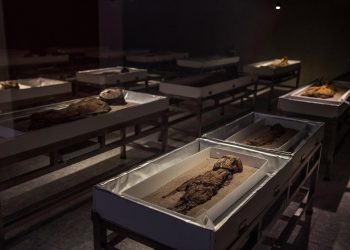 Las momias Chinchorro, tesoro arqueológico de Chile patrimonio de humanidad