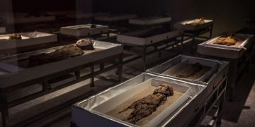 Las momias Chinchorro, tesoro arqueológico de Chile patrimonio de humanidad