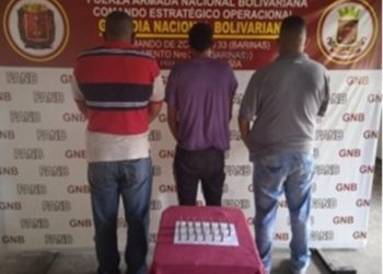  Detenidos cinco sujetos con lote de municiones
