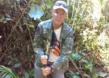 Se cumple programa de reforestación en parroquia José Gregorio Hernández