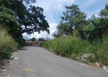 Rafael Rangel: La vieja ruta de San Benito y calle Antonio Olmos están llenas de maleza