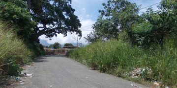 Rafael Rangel: La vieja ruta de San Benito y calle Antonio Olmos están llenas de maleza