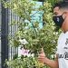Cristiano-Dybala, convivencia posible