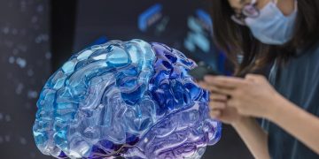Sonidos y palabras se procesan en el cerebro por separado