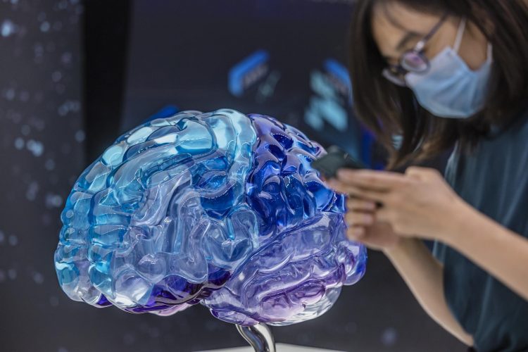 Un modelo de cerebro humano expuesto en una muestra en Shanghái (China). EFE/EPA/Alex Plavevski/Archivo