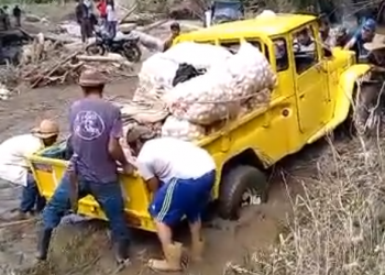 Productores de Santa Cruz de Mora y Pueblo Nuevo del Sur podrían perder sus cosechas