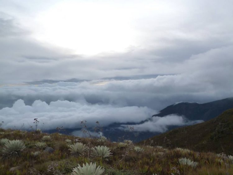 Trujillo celebra día internacional con cuatro parques naturales y un monumento natural