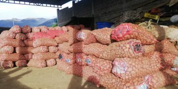 Contrabando de papa, tomate, cebolla, zanahoria y ajos, inunda mercados del país y lleva a la ruina a productores venezolanos