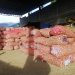 Contrabando de papa, tomate, cebolla, zanahoria y ajos, inunda mercados del país y lleva a la ruina a productores venezolanos