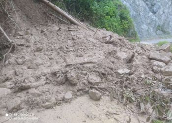 Derrumbe en sector La Roca bloquea la vía entre Zea y Caño El Tigre
