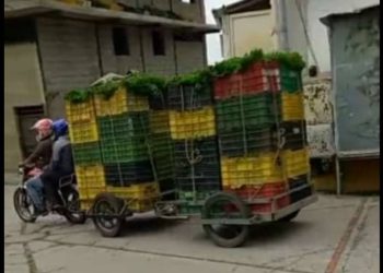 Sin gasolina y mucha creatividad productores merideños sobreviven