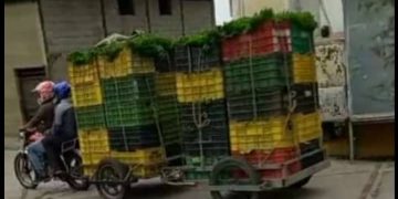 Sin gasolina y mucha creatividad productores merideños sobreviven