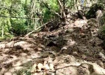 Tras nuevo deslave en Zoo de Mérida: Kika es puesta a resguardo