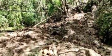 Tras nuevo deslave en Zoo de Mérida: Kika es puesta a resguardo