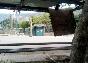 Colapsó techo de parada frente a la UPTM en Ejido